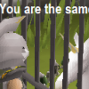 jaredking10